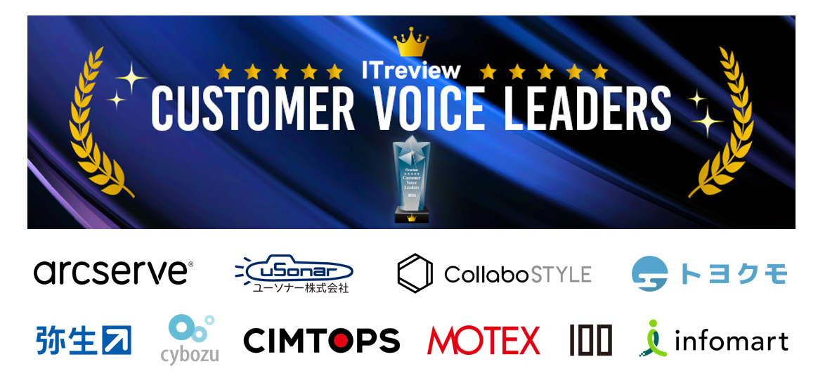 customer voice leaders