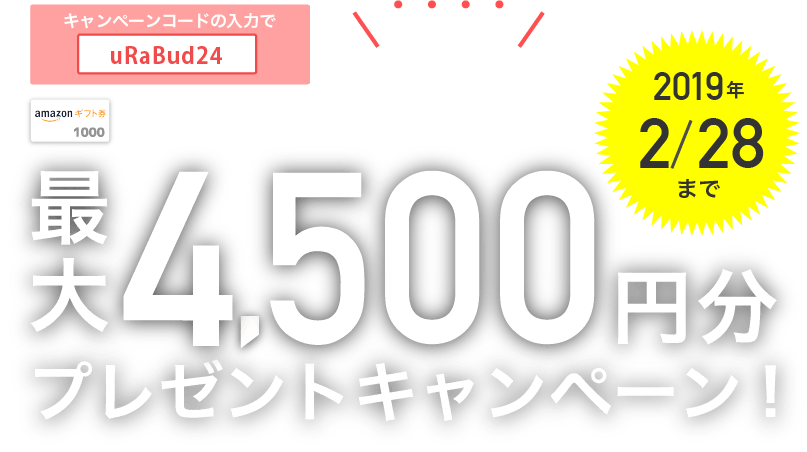 1アンケートにつき漏れなく！Amazonギフト券最大4,500円プレゼントキャンペーン！2019年2月28日まで