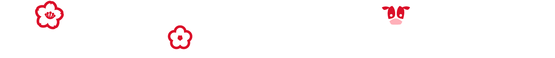お年玉キャンペーン！！